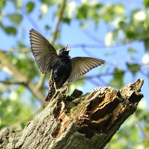 壹号娱乐博彩牌照